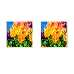 Festival Of Tulip Flowers Cufflinks (square) by FunnyCow