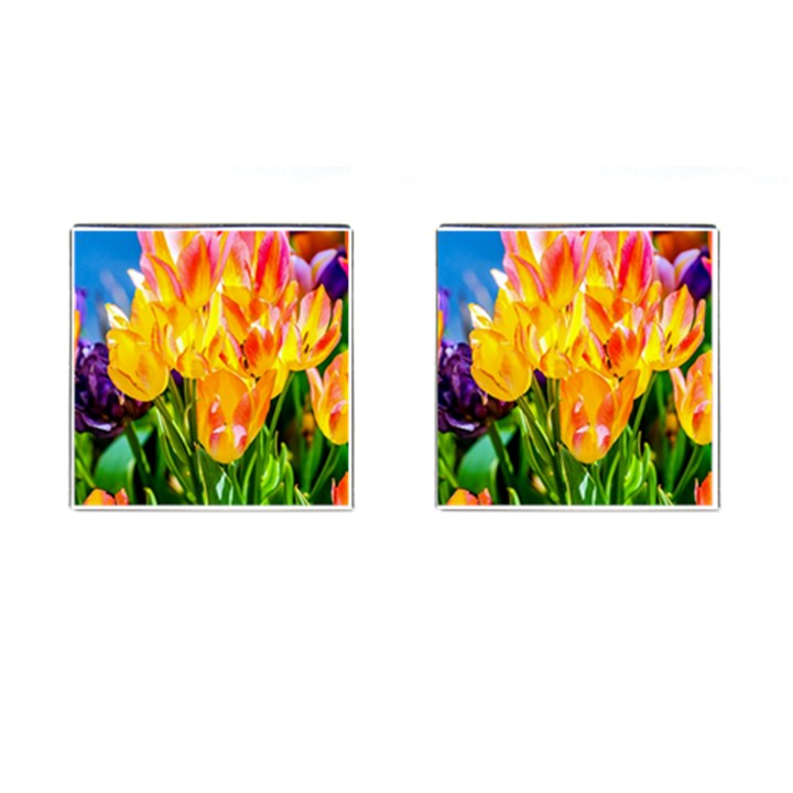 Festival Of Tulip Flowers Cufflinks (Square)