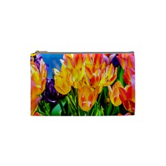 Festival Of Tulip Flowers Cosmetic Bag (small) by FunnyCow