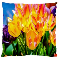 Festival Of Tulip Flowers Standard Flano Cushion Case (two Sides) by FunnyCow