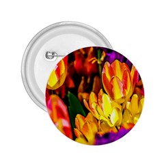 Fancy Tulip Flowers In Spring 2 25  Buttons by FunnyCow