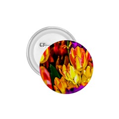 Fancy Tulip Flowers In Spring 1 75  Buttons by FunnyCow