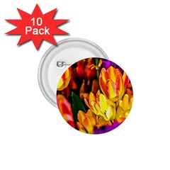 Fancy Tulip Flowers In Spring 1 75  Buttons (10 Pack) by FunnyCow