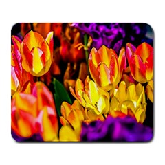 Fancy Tulip Flowers In Spring Large Mousepads by FunnyCow