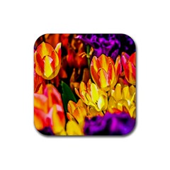 Fancy Tulip Flowers In Spring Rubber Coaster (square)  by FunnyCow