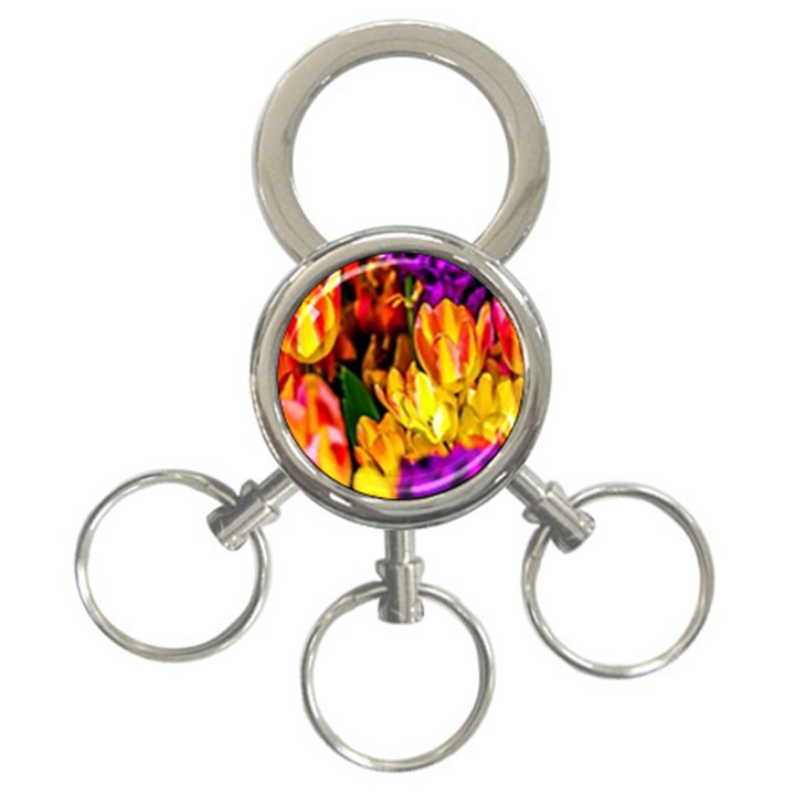 Fancy Tulip Flowers In Spring 3-Ring Key Chains