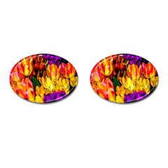 Fancy Tulip Flowers In Spring Cufflinks (oval) by FunnyCow