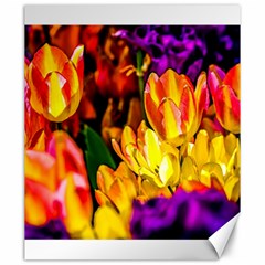 Fancy Tulip Flowers In Spring Canvas 20  X 24  by FunnyCow