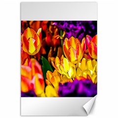 Fancy Tulip Flowers In Spring Canvas 24  X 36  by FunnyCow