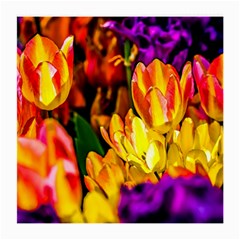 Fancy Tulip Flowers In Spring Medium Glasses Cloth (2-side) by FunnyCow