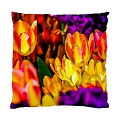 Fancy Tulip Flowers In Spring Standard Cushion Case (two Sides) by FunnyCow