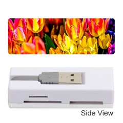 Fancy Tulip Flowers In Spring Memory Card Reader (stick) by FunnyCow