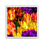 Fancy Tulip Flowers In Spring Memory Card Reader (Square) Front