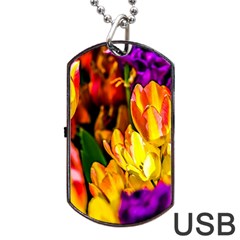 Fancy Tulip Flowers In Spring Dog Tag Usb Flash (one Side) by FunnyCow