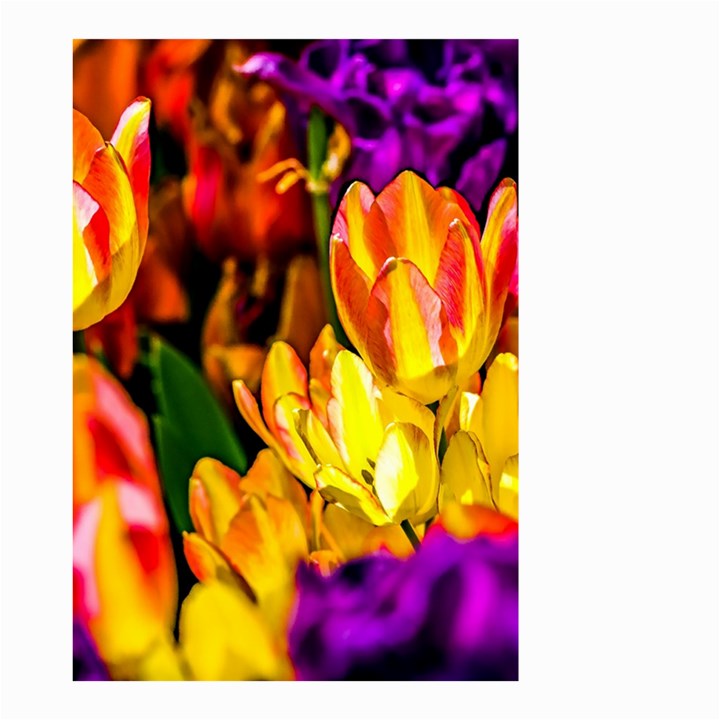 Fancy Tulip Flowers In Spring Small Garden Flag (Two Sides)