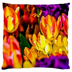 Fancy Tulip Flowers In Spring Large Cushion Case (one Side) by FunnyCow