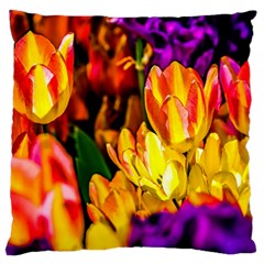 Fancy Tulip Flowers In Spring Standard Flano Cushion Case (one Side) by FunnyCow