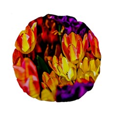 Fancy Tulip Flowers In Spring Standard 15  Premium Flano Round Cushions by FunnyCow