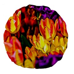 Fancy Tulip Flowers In Spring Large 18  Premium Flano Round Cushions by FunnyCow