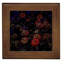 Floral Fireworks Framed Tiles by FunnyCow