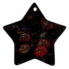 Floral Fireworks Ornament (star) by FunnyCow