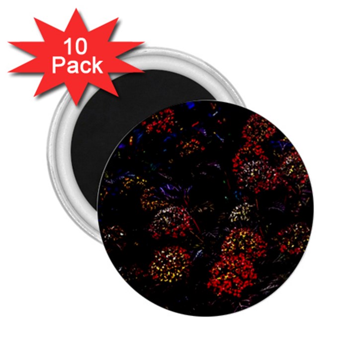 Floral Fireworks 2.25  Magnets (10 pack) 