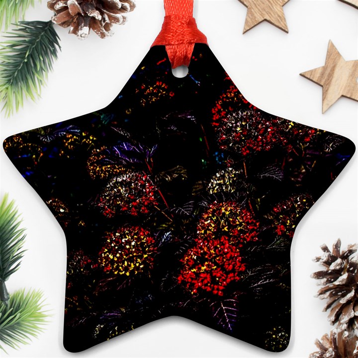 Floral Fireworks Star Ornament (Two Sides)