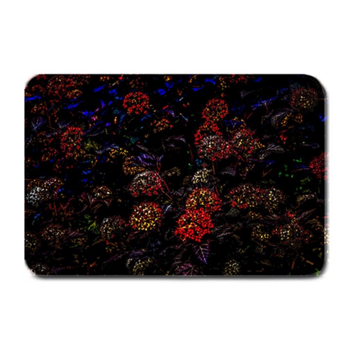 Floral Fireworks Plate Mats