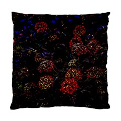 Floral Fireworks Standard Cushion Case (two Sides) by FunnyCow