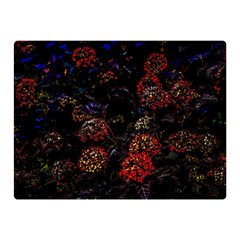 Floral Fireworks Double Sided Flano Blanket (mini)  by FunnyCow