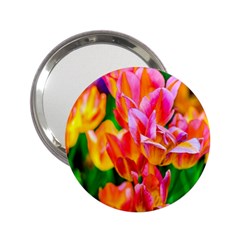 Blushing Tulip Flowers 2 25  Handbag Mirrors by FunnyCow