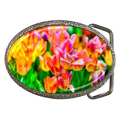 Blushing Tulip Flowers Belt Buckles by FunnyCow