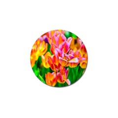 Blushing Tulip Flowers Golf Ball Marker (4 Pack) by FunnyCow