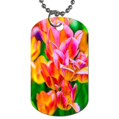 Blushing Tulip Flowers Dog Tag (two Sides) by FunnyCow