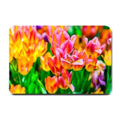 Blushing Tulip Flowers Small Doormat  by FunnyCow