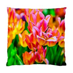 Blushing Tulip Flowers Standard Cushion Case (one Side) by FunnyCow