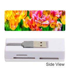 Blushing Tulip Flowers Memory Card Reader (stick) by FunnyCow