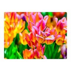 Blushing Tulip Flowers Double Sided Flano Blanket (mini)  by FunnyCow