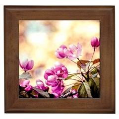 Paradise Apple Blossoms Framed Tiles by FunnyCow