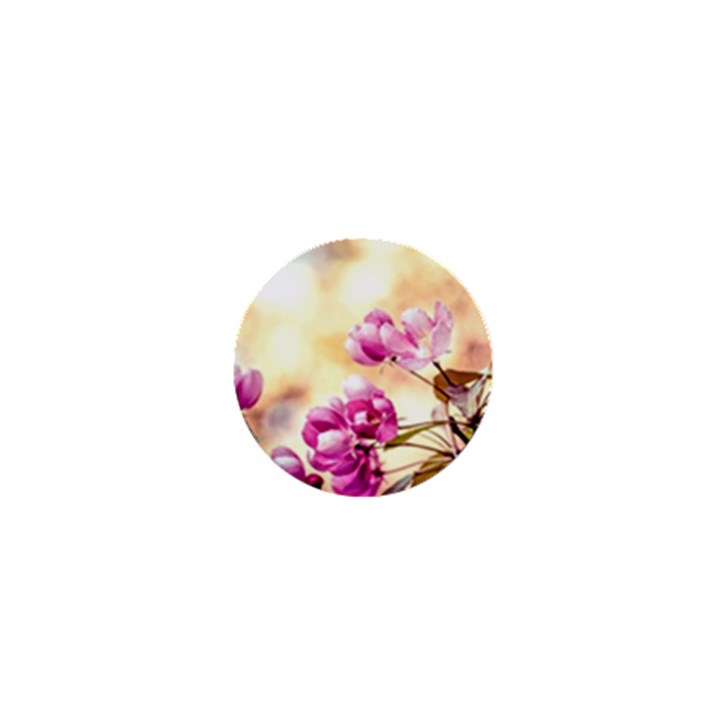 Paradise Apple Blossoms 1  Mini Buttons