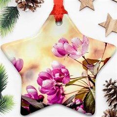 Paradise Apple Blossoms Ornament (star) by FunnyCow