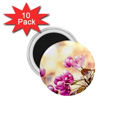 Paradise Apple Blossoms 1 75  Magnets (10 Pack)  by FunnyCow