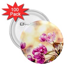 Paradise Apple Blossoms 2 25  Buttons (100 Pack)  by FunnyCow