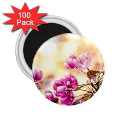 Paradise Apple Blossoms 2 25  Magnets (100 Pack)  by FunnyCow