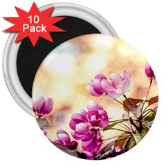 Paradise Apple Blossoms 3  Magnets (10 Pack)  by FunnyCow