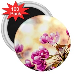 Paradise Apple Blossoms 3  Magnets (100 Pack) by FunnyCow