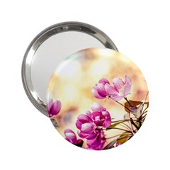 Paradise Apple Blossoms 2 25  Handbag Mirrors by FunnyCow