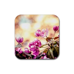 Paradise Apple Blossoms Rubber Coaster (square)  by FunnyCow