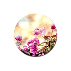 Paradise Apple Blossoms Magnet 3  (round) by FunnyCow