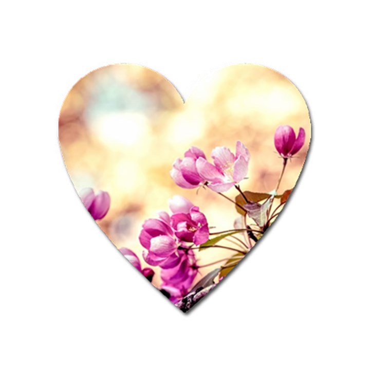 Paradise Apple Blossoms Heart Magnet